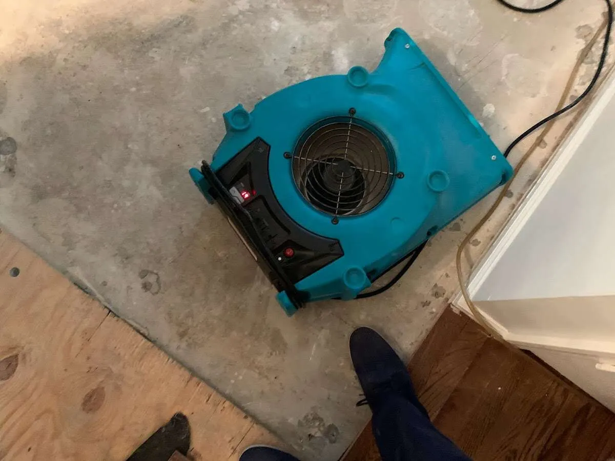 Air mover drying subfloor during Commercial Water Damage Restoration in Mason